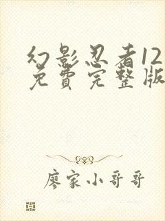 幻影忍者12季免费完整版