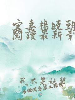 官妻杨晓朝免费阅读最新章节