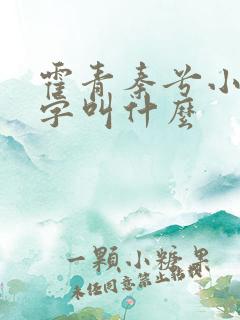 霍青秦兮小说名字叫什么