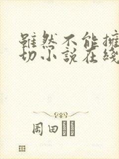 虽然不能拥有一切小说在线阅读