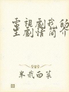 电视剧我的前半生剧情简介