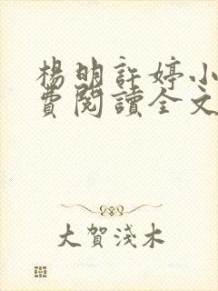 杨明许婷小说免费阅读全文最新章节