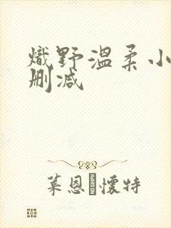 炽野温柔小说无删减