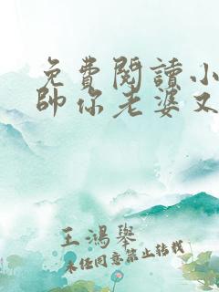 免费阅读小说少帅你老婆又跑了全文