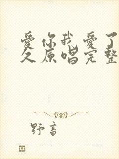 爱你我爱了那么久原唱完整版