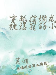 穿越摆烂成军嫂被爆宠的小说