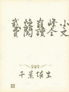 武炼巅峰小说免费阅读全文无窗口