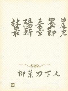 林阳秦墨农小说最新章节免费阅读