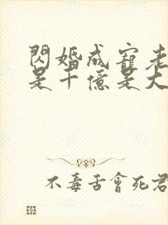 闪婚成宠老公竟是千亿是大佬