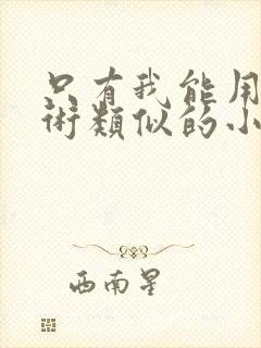 只有我能用召唤术类似的小说