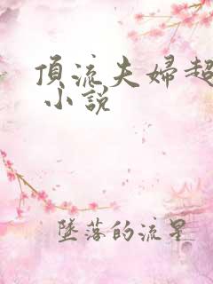 顶流夫妇超甜的 小说