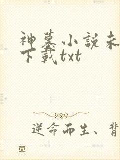 神墓小说未删版下载txt