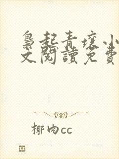 枭起青壤小说全文阅读免费