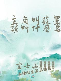 主角叫苏墨的小说叫什么名字