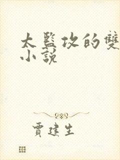 太监攻的双男主小说