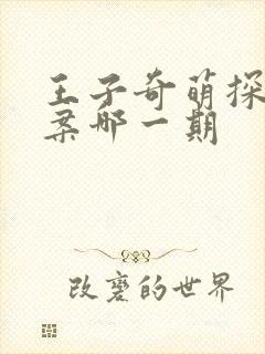王子奇萌探探探案哪一期