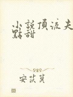 小说顶流夫妇有点甜