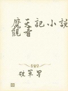 魔天记小说在线观看