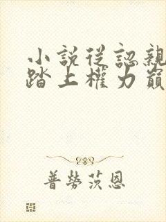 小说从认亲开始踏上权力巅峰完本免费阅读