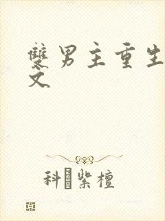 双男主重生年代文