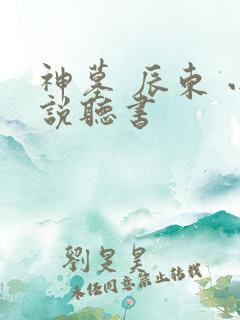 神墓 辰东 小说听书