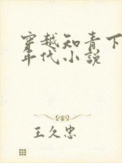 穿越知青下乡的年代小说