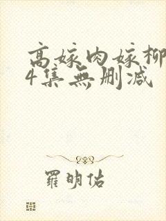 高嫁肉嫁柳1～4集无删减