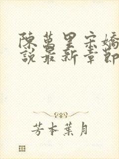 陈万里宋娇娇小说最新章节更新时间表