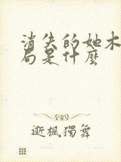 消失的她木子结局是什么