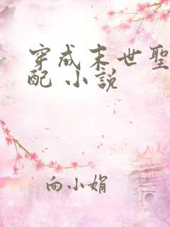 穿成末世圣母女配 小说