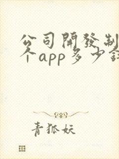 公司开发制作一个app多少钱