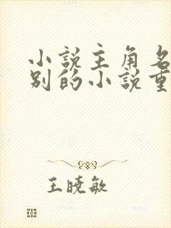 小说主角名字与别的小说重名