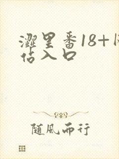 涩里番18+网站入口