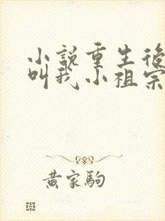小说重生后大佬叫我小祖宗