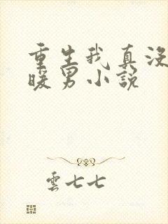 重生我真没想当暖男小说