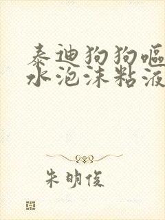 泰迪狗狗呕吐黄水泡沫粘液怎么办