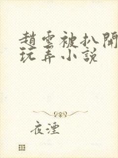 赵云被扒开双腿玩弄小说