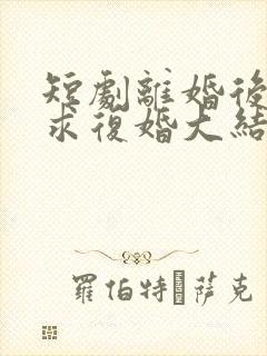 短剧离婚后前夫求复婚大结局