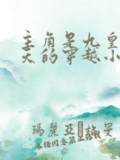 主角是九皇子夏天的穿越小说