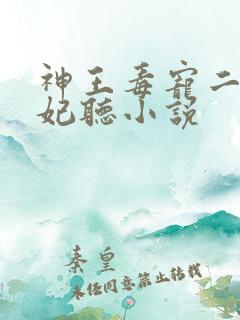 神王毒宠二嫁王妃听小说
