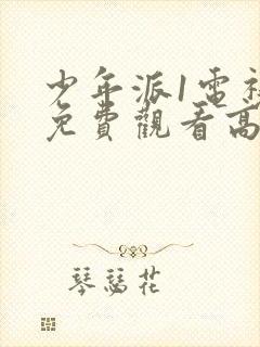 少年派1电视剧免费观看高清