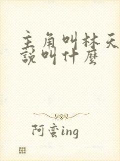 主角叫林天的小说叫什么