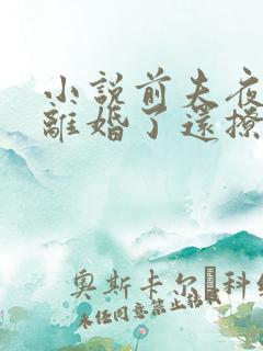 小说前夫夜袭:离婚了还撩我?在线阅读