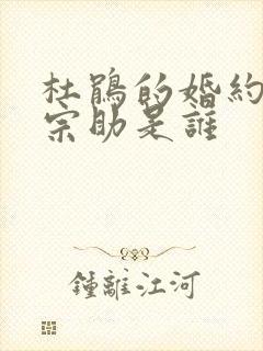 杜鹃的婚约天野宗助是谁