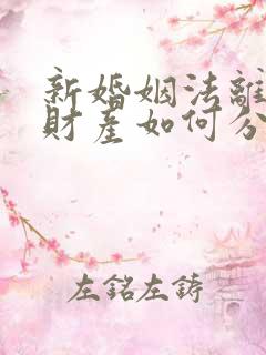 新婚姻法离婚后财产如何分配