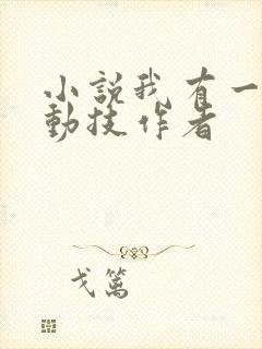 小说我有一身被动技作者