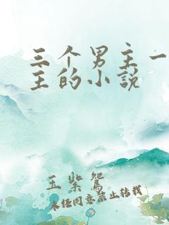三个男主一个女主的小说