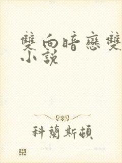 双向暗恋双男主小说