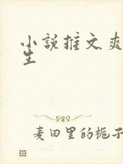 小说推文爽文重生