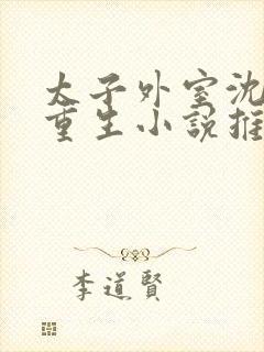 太子外室沈银翎重生小说推荐